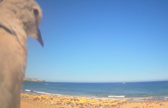 PLAYA DEL INGLÉS - IZQUIERDA