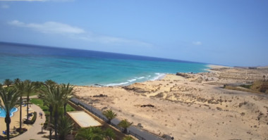 PÁJARA FUERTEVENTURA